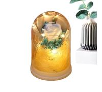 Bouquet di Rose con - Esposizione Floreale conservata a Lungo Termine con Cupola di, Decorazione Floreale Infinita, Accento LED | per San Compleanno Natale Mamma Moglie Figlia Il Suo