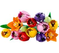 Bouquet di tulipani