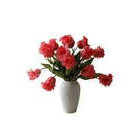 Bouquet di tulipani pappagallo Rosso