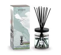 BOUQUET PROFUMATO ELLIPSE PUR LIN 500ML ESTEBAN PARIS DIFFUSORE