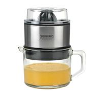 BOURGINI - Lotte Juicer Deluxe - Caraffa in vetro da 0,75 litri, colore: Argento