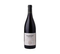 Bourgogne Aoc Pinot Noir 2022 - Domaine Chanson 0.75 lt