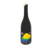 Bourgogne Blanc 'Neige de Printemps' Domaine Ami 2022