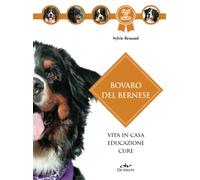 Bovaro bernese
