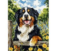bovaro bernese Punto Croce da Ricamare Ricamo Kit Completo,Paesaggio della fattoria dei cani,Schemi Punto Croce Kit da Ricamare Prestampato Principianti,Kit Punto Croce 11CT,40x50cm
