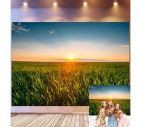 Bovlleetd 1,5x1m Sfondo Campo tramonto Erba illuminata dall'ora dorata, Vasta prateria verde e cielo chiaro, Tema natura rurale serena, Accessori Studio Fotografico