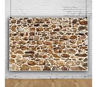 Bovlleetd 10x8ft sfondo parete di pietra naturale roccia sfondo fotografico texture sfondo retrò europeo architettura parete sfondo per studio fotografia puntelli