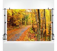 Bovlleetd 2.2x1.5m Sfondo di foglie cadute autunnali Foglie d'acero Percorso d'oro Foresta Paesaggio Fotografia Sfondo Harvest Stagione Banner Vinile Backdrop per Wedding Birthday Party Decor