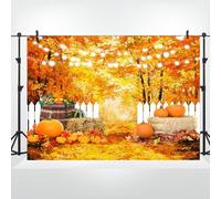 Bovlleetd 3.5x2.5m Sfondo della foresta autunnale Maple Leaves Street Road Scenery Photography Backdrop Zucche Harvest Party Banner Vinile Backdrop per il Ringraziamento Ritratto Backdrop