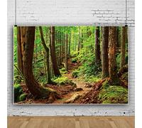 Bovlleetd Natura Forst Sfondo Primavera Montagna Paesaggio Percorso Albero Sfondo per la Fotografia Avventura Campeggio Sfondo Picnic Escursionismo Tema Partito Decorazione Banner 220x150cm