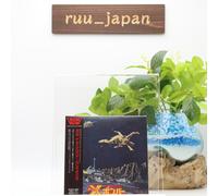 BOW WOW Vow Wow X -BOMBER JAPAN MINI LP CD NUOVO