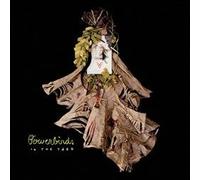 Bowerbirds - Into The Yard B/w Always An Ear To Bend