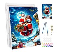 Bowetile Babbo Natale e Renne Dipingere per Numeri per Adulti, Kit Paesaggio Lavoretti Creativi per Numeri per Principianti, Kit Pittura Acrilica Numerata Per Decorazione Della Casa 20x30cm
