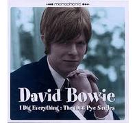 Bowie,David - I Dig Everything/the 1966 Pye Singles