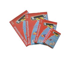 BOX 100 POUCH MM216*303 80 MIC