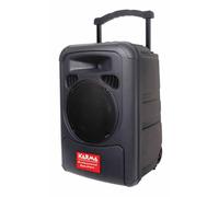 BOX AMPLIFICATO CON DVD E 1 RADIOMICROFONO BM891 KARMA