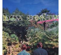 Box Codax - Only An Orchard Away