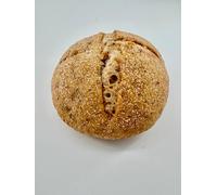 Box da 10 Panini "Bocconcino" - Senza Glutine, Senza Lattosio (Bocconcino Pane Classico)