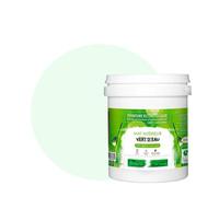 BOX DECO COULEURS Dipinto murale naturale ecologico aspetto opaco interno Natura - 1 L / 13 m², verde acqua