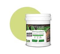 BOX DECO COULEURS Dipinto murale naturale ecologico effetto raso interno Natura - 1 L / 13 m², verde anice