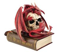 Box Design Toscano CL76323 sensi drago sangue modellato