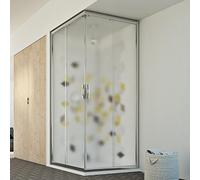 Box doccia 72x72CM H198 stampato C mod. Evolution