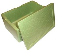 BOX GEL PZ 1 Contenitore Termico Rettangolare da CM 33 X 53 Alto CM 23 Cassa Resistente per ASPORTO Alimenti in POLISTIROLO Green