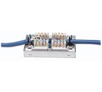 Intellinet Box per Connessioni di Rete Cat6 FTP