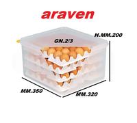 BOX GN 2/3 CM.35X32 + 8 VASSOI PORTA UOVA HACCP POLIPROPILENE PROF ARAVEN