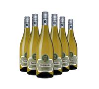 Box Sauvignon Venezia Giulia IGT 2024 - Jermann [6 bot] 0.75 lt