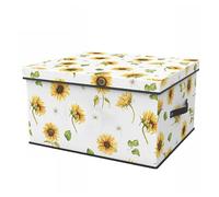 BOX SCATOLA SALVASPAZIO ARMADIO CONTENITORE PORTA OGGETTI ORGANIZER 55x42x30 CM