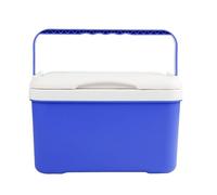 Box Termico | Scatola Isolata Antiperdita da 6 Litri | Cassa per Ghiaccio con Manico | per Attività All'aperto, Automobilismo, Campeggio, Escursionismo, Viaggi, Viaggi d'Affari e Picnic