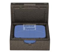 Box Termico Trasporto Dinner Champion Nero EPP 25,5x19,5x7,5 cm Thermohauser