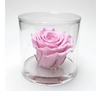 Box tondo con rosa rosa stabilizzata Profumata, Box con Rosa rosa stabilizzata Eterna | Idea Regalo Natale, Mamma, Nonna, Amica, Bomboniera per lei | Fatto in Italia (Rosa 1045)