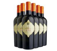 Box Traminer Aromatico e Sauvignon Blanc Terre Siciliane IGT Kikè 2025 - Cantine Fina [6 bot]