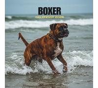 Boxer 2026 Calendar: Strong and Playful Dog Moments • Dated Monthly Grid • U.S. Holidays Included • Glossy Softcover 8.5x8.5 in
