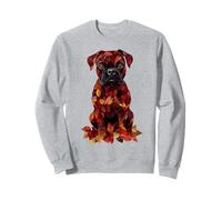 Boxer autunno foglie autunno cane boxer mamma Felpa
