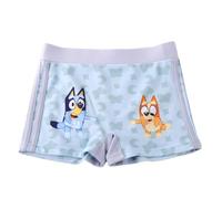 Boxer Bagno Bluey per Bambini - Costume Bluey per Bambini, Spiaggia, Piscina, Asciugatura Rapida e Resistente al Cloro, Boxer Nuoto per Bambini, Cordino Regolabile e Tasche, Costume da Bagno per