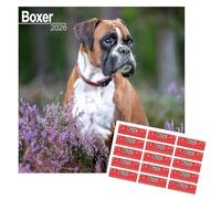 Boxer Calendar 2025 | Calendario da parete quadrato di razza di cane | 16 mesi | con adesivi organizzativi