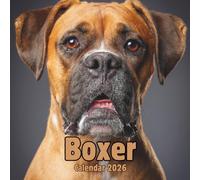 Boxer Calendar 2026: 14-Month Organizer from Nov 2025 to Dec 2026 | Perfect for Home, Office, School & Family Scheduling, For Men , Women , Girls , Boys