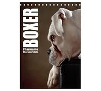 Boxer - Charmante Charakterköpfe (Tischkalender 2026 DIN A5 hoch), CALVENDO Monatskalender: Boxer mit Charme ins rechte Licht gerückt