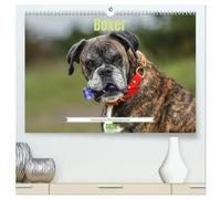 Boxer - charmante Herzensbrecher (hochwertiger Premium Wandkalender 2026 DIN A2 quer), Kunstdruck in Hochglanz: Kraftvoll, verspielt und loyal - der Boxer begeistert mit seinem einzigartigen Charme.