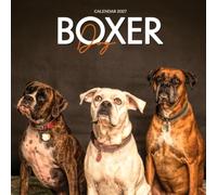 Boxer Dog Calendar 2027