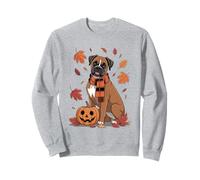 Boxer Dog Lover Zucca Autunno Autunno Ringraziamento Felpa