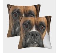 Boxer Dog Portrait-Pet Animal Photography Federe Cuscini Per Divano Decorative Art Fodere Per Cuscini 2 Pezzi Quadrate Poliestere Letto Casa Camera 40x40cm