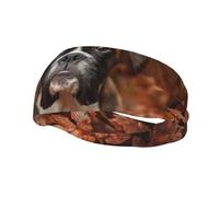 Boxer Dogs Autumn Fasce per capelli da uomo e da donna, fascia per capelli da corsa traspirante per la palestra