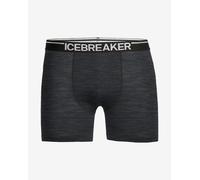 Boxer Icebreaker Anatomica grigio - S