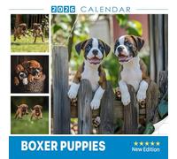 Boxer Puppies Calendar 2026: A year of playful little pups