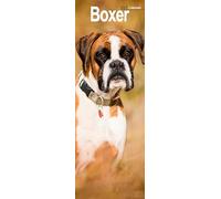 Boxer Slim 2027 Calendar | Slimline Wall Calendar | Dog Breed Gift | Plastic Free Packaging | by Avonside Publishing