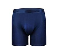 Boxer sportivi da uomo, leggeri, ad asciugatura rapida, senza mosche, classico, anti sfregamento, traspiranti, freschi e asciutti, comodi, aderenti, con cintura elasticizzata, Blu, L